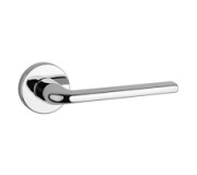 Door handles on the rosette