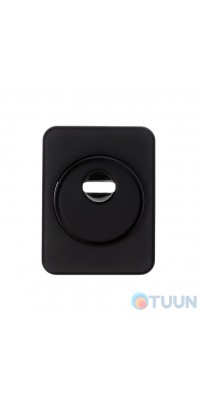 Cipierre, armor plate (protector), 310C, rectangular, matte black