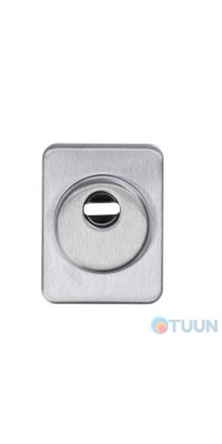 Cipierre, armor plate (protector), 310C, rectangular, matte chrome