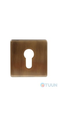 Decorative cover for cylinder Protect AB ant brass (50518)