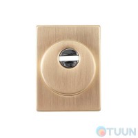 Броненакладка Protect 25mm с декоративной накладкой 60X80 мм SG мат золото