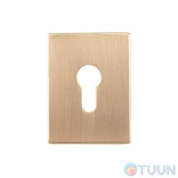 Декоративна накладка Protect під циліндр 60X80mm SG мат золото