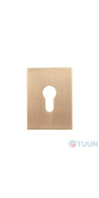 Декоративная накладка Protect под цилиндр 60X80mm SG мат золото