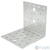 Куток рівнополочний 100х100х100х2,0