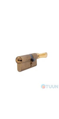 Cylinder Iseo 885930457.85 brass flat / handle with anti-drilling