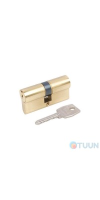 AGB Art. C603102525 English cylinder 60mm polished brass