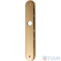 Colombo RA 11 PL plank without holes 43*250 mm, gold