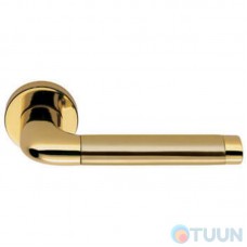 Colombo Taipan LC11 Handle Polished Brass / Mat.Zol R f / z (45 Rosettes)