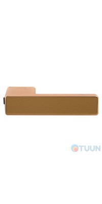 Buonelle Doppio B-02 door handle matte gold (without lock)