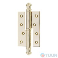 Петля Salice Paolo 2901 DX OCL правая золота