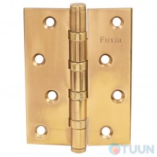 Hinge 100 * 2.5 (4 bearing, brass) pol.. lat Fuxia