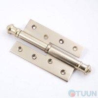 Hinge Salice Paolo 2901 DX OCS right matte gold