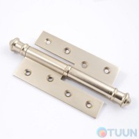 Hinge Salice Paolo 2901 SX OCS left matte gold