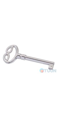 Key 33053.0420N.69 silver moonlight
