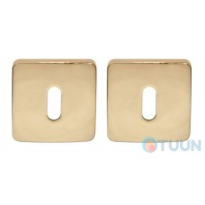 Colombo PT 13 BB cover plate brass RoboquattroS