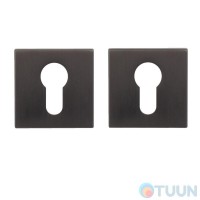 RDA Накладка RY титан кл Novelty 6мм