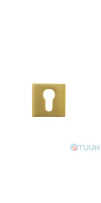 Convex 2145 matte brass cover