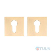 Door cover for RDA RY-64 cylinder, matte brushed gold (6mm rosette)