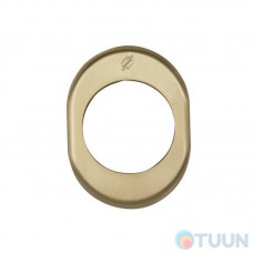 Blindate PB01 Matte Gold Cover