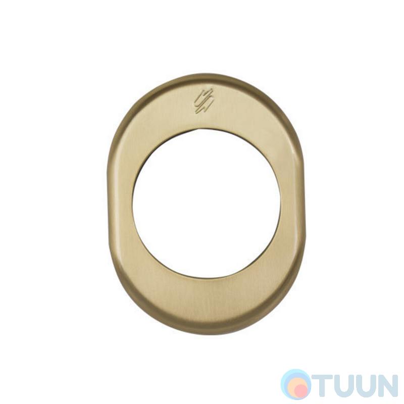 Blindate PB01 Matte Gold Cover