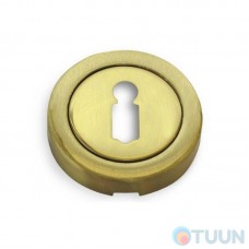 Fimet 2031 F10 slot cover, polished brass / matte brass