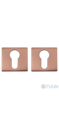 Buonelle Total B-55 bronze cover plate