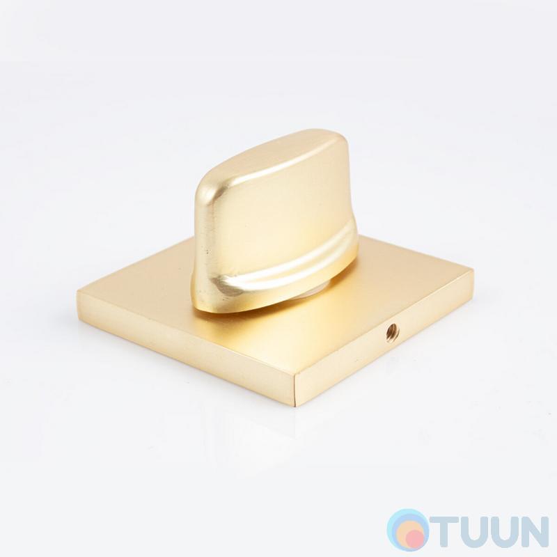 Turning device for the Protect latch 52*52 matte gold
