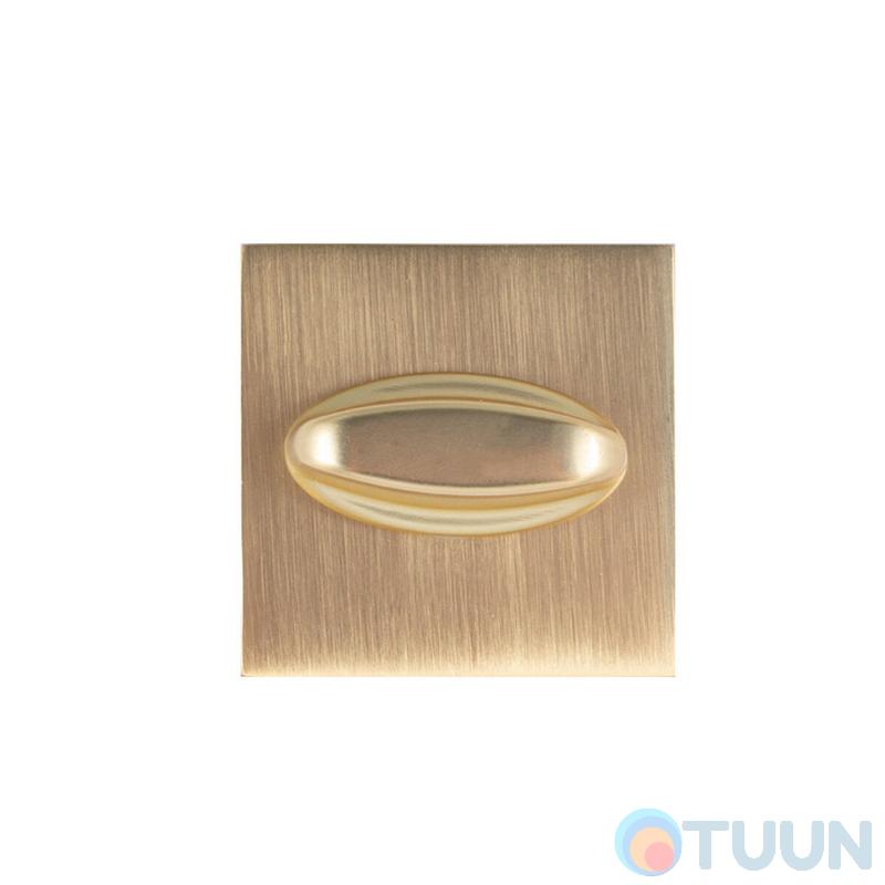 Turning device for the Protect latch 52*52 matte gold