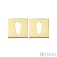 Overlay RY-49 pol. brass cl Aster RDA