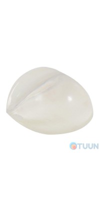 Comit shell stopper mod 409-23x35 transparent on 3M tape