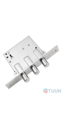 Механизм замка Securemme 2029XAI60XXA65UA 5 кл