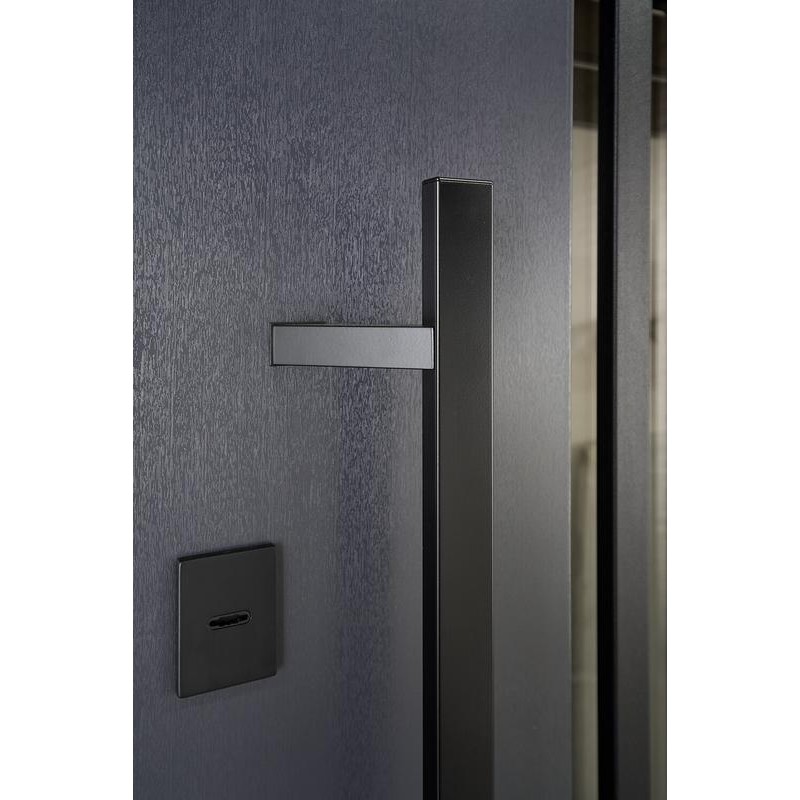 ABWEHR entrance door with thermal break, Revolution model, Termix configuration (LP6)