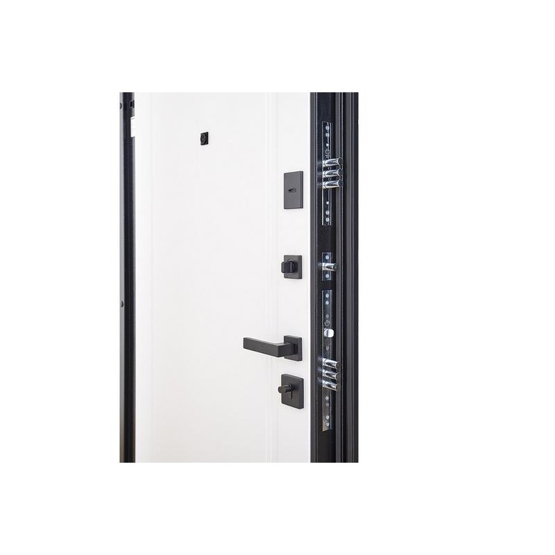 ABWEHR entrance door Rain, Megapolis MG3 configuration (516)