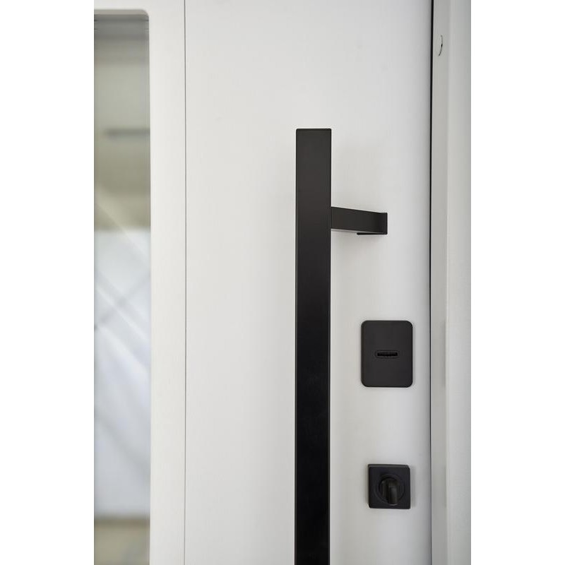 Entrance door ABWEHR with thermal break model Ufo Black COTTAGE (496)