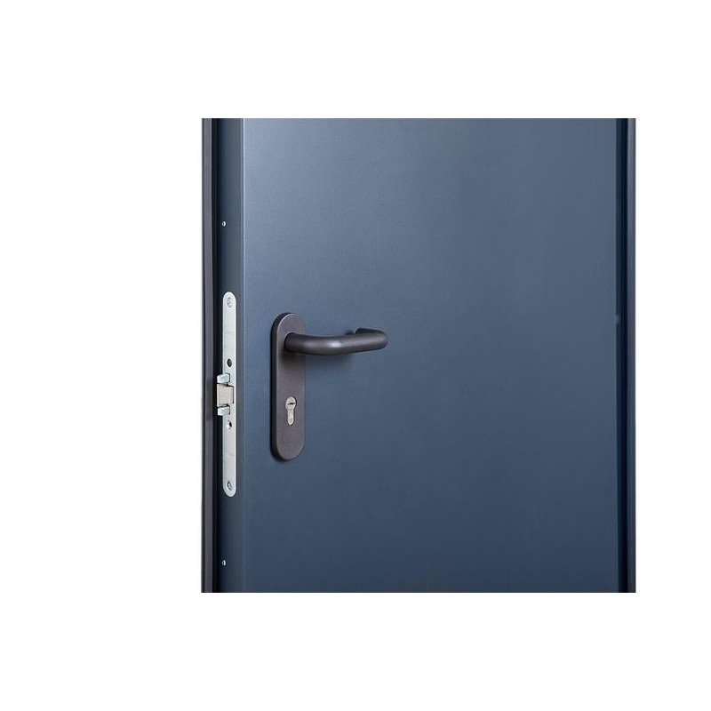 ABWEHR technical door with Italian self-guided hinges TD-2 (Ei-30)
