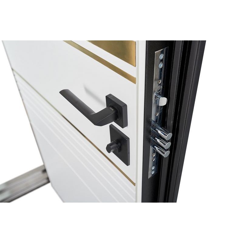 ABWEHR Goldy entrance door Megapolis MG3 configuration (545)