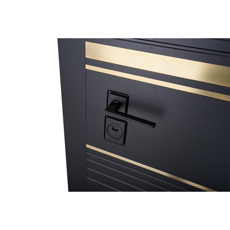 ABWEHR Goldy entrance door Megapolis MG3 configuration (545)