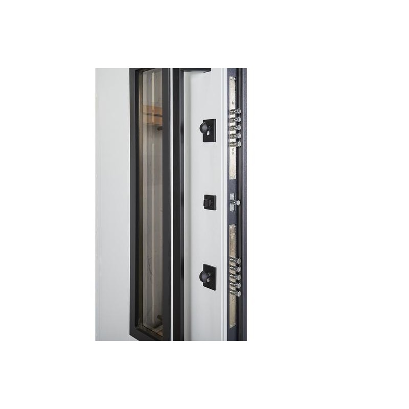 Entrance door ABWEHR with thermal break model Revolution Bionica 2 Mottura (LP6)