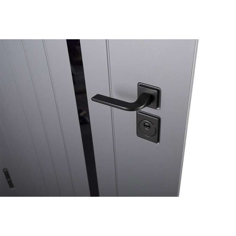 ABWEHR entrance door with graphite mirror, Selena model, Megapolis MG3 configuration (583)