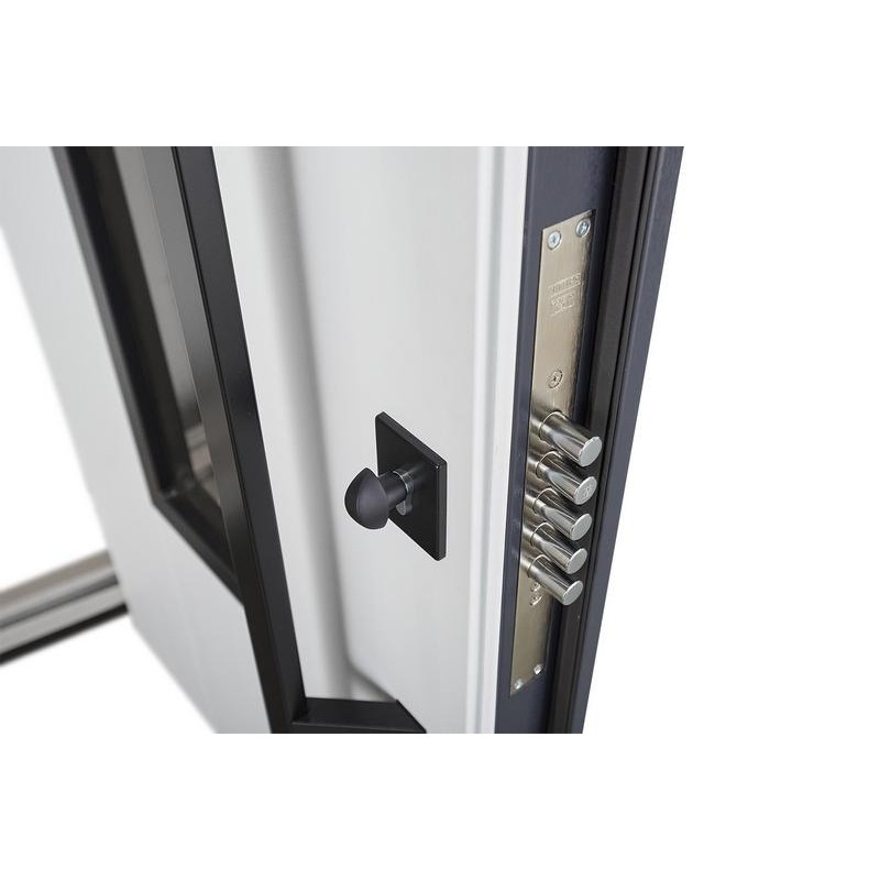 Entrance door ABWEHR with thermal break model Revolution Bionica 2 Mottura (LP6)