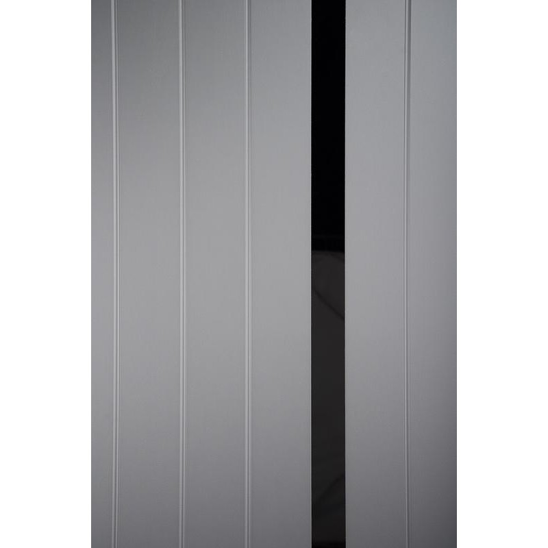 ABWEHR entrance door with graphite mirror, Selena model, Megapolis MG3 configuration (583)