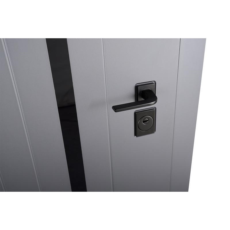 ABWEHR entrance door with graphite mirror, Selena model, Megapolis MG3 configuration (583)