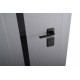 ABWEHR entrance door with graphite mirror, Selena model, Megapolis MG3 configuration (583)