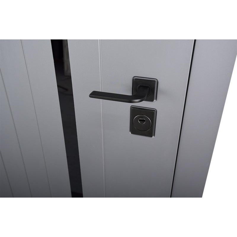ABWEHR entrance door with graphite mirror, Selena model, Megapolis MG3 configuration (583)