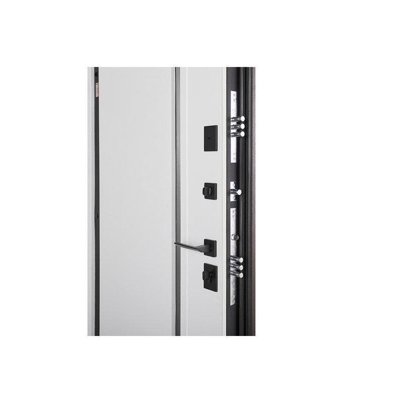 ABWEHR entrance door with thermal break Avenue model Termix configuration (537)