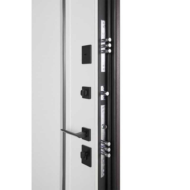 ABWEHR entrance door with thermal break Avenue model Termix configuration (537)