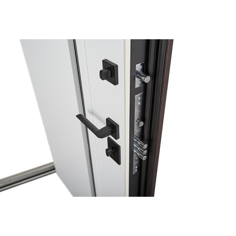 ABWEHR entrance door with thermal break Avenue model Termix configuration (537)