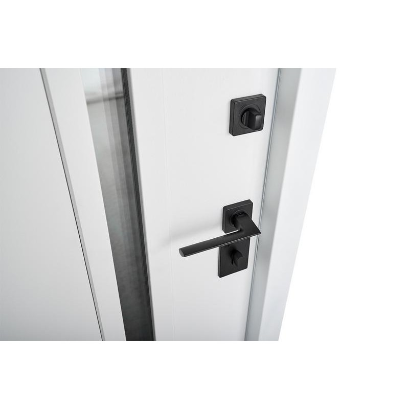 ABWEHR entrance door with thermal break Avenue model Termix configuration (537)