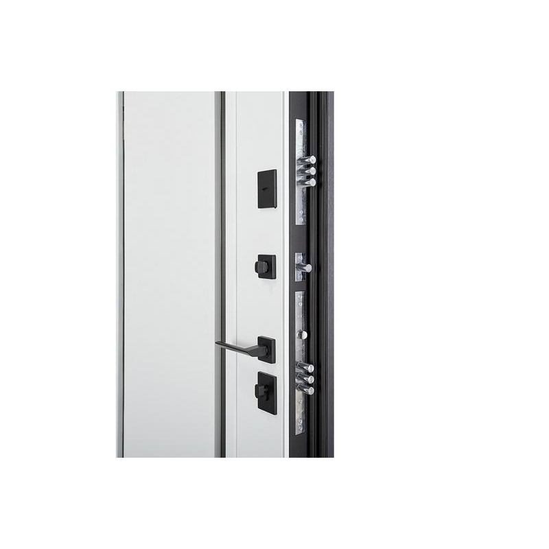 ABWEHR entrance door with thermal break Avenue model Termix configuration (537)
