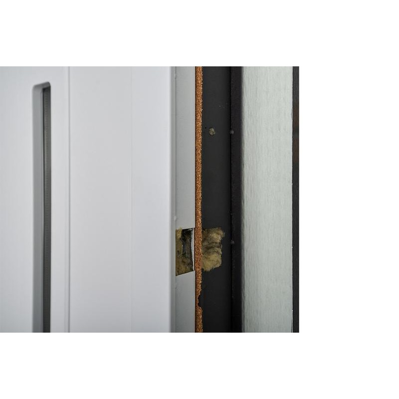 ABWEHR entrance door with thermal break Avenue model Termix configuration (537)